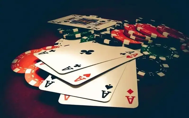 bellybet Everything You Need to Know About Your bellybet Account